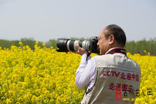 古城台儿庄: 运河岸边·油菜花儿开 文创摄影踏