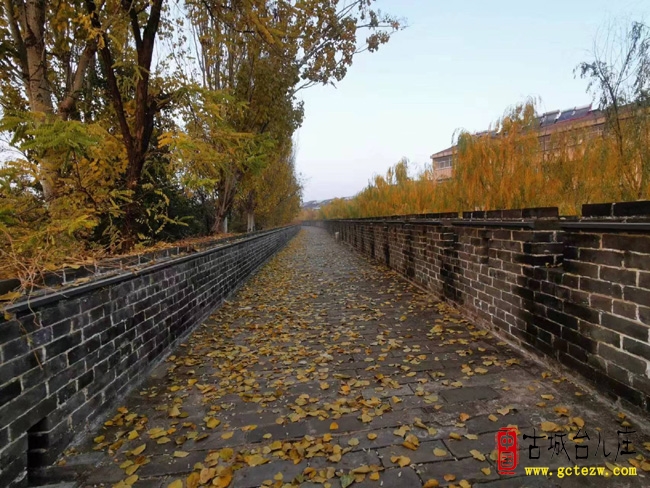 【同林摄影】登城墙看台儿庄古城