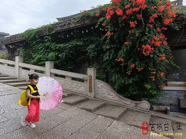 【同林摄影】台儿庄古城凌霄花盛开