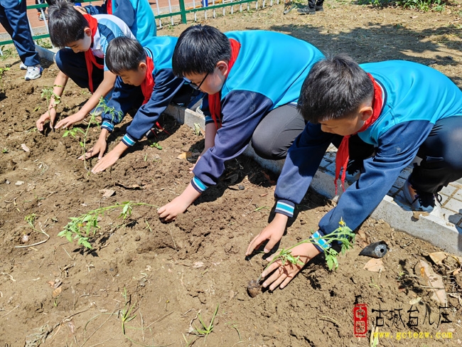 全环境立德树人丨台儿庄区明远实验小学开展“慧劳动，悦成长”劳动实践活动（图）