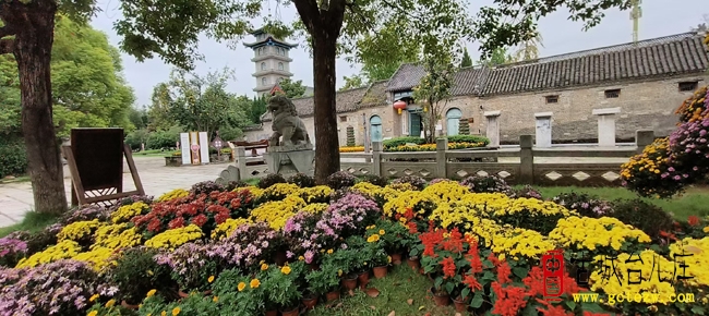 各地游客齐聚台儿庄古城，共赴水乡之约（图）