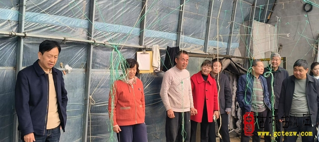 台儿庄区老科技术工作者协会协联合区科协：组织农业老专家深入小麦种植基地进行服务和业务指导（图）