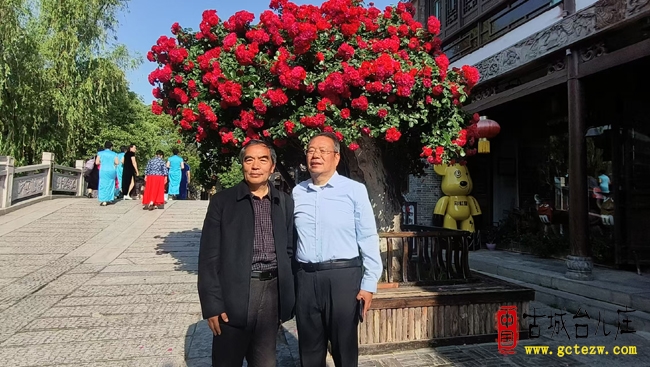 探寻运河文化密码，在台儿庄古城相遇（图）