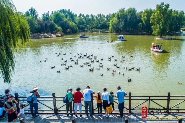 亲子游必码！双龙湖湿地观鸟园遛娃宝藏地，让你躺赢假期时光！