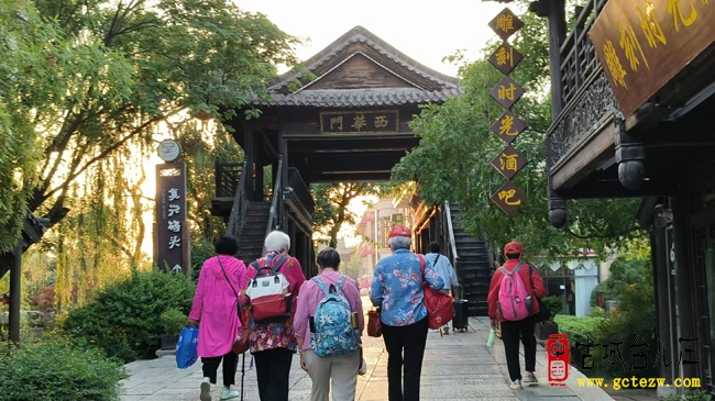 小满时节邂逅浪漫 台儿庄古城绽放文旅魅力（图）