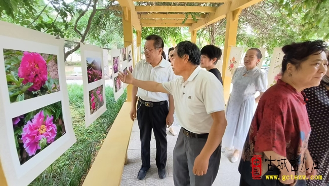 牡丹雅韵绘水乡 艺术盛宴迎遗产日丨台儿庄艺术家刘同林牡丹摄影绘画展启幕（图）