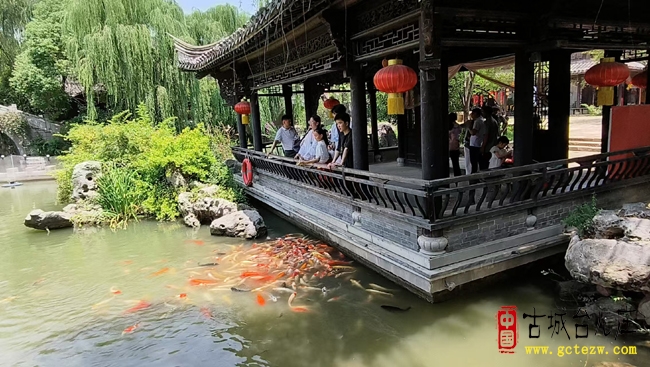 跨越77年寻亲终圆梦，台儿庄古城见证血脉重聚（图）