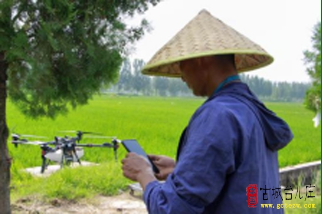 科技赋能，绘就邳庄现代农业新画卷（图）