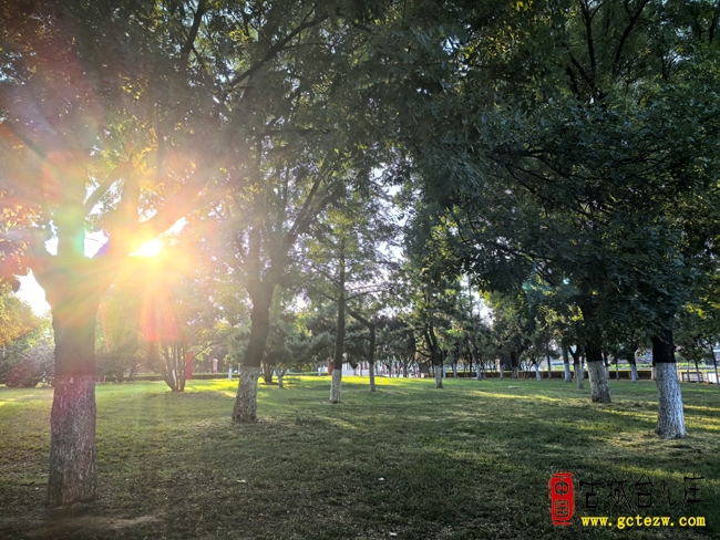 【影报】夕阳无限好丨枣庄光明广场随拍