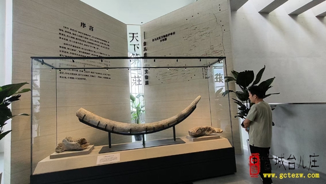走进台儿庄区博物馆（图）