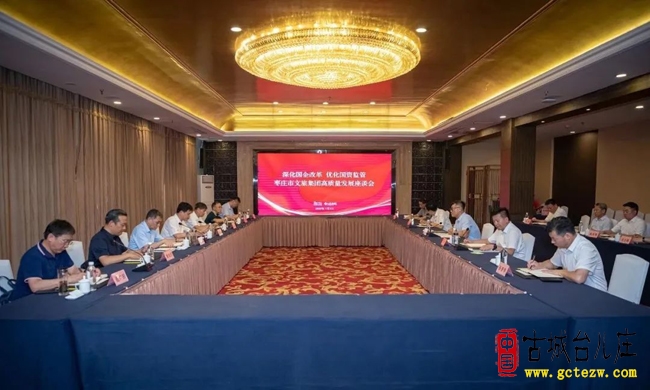 李守江今天到台儿庄古城考察调研（图）