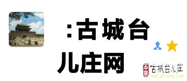 《古城台儿庄网颂》作者：单立强