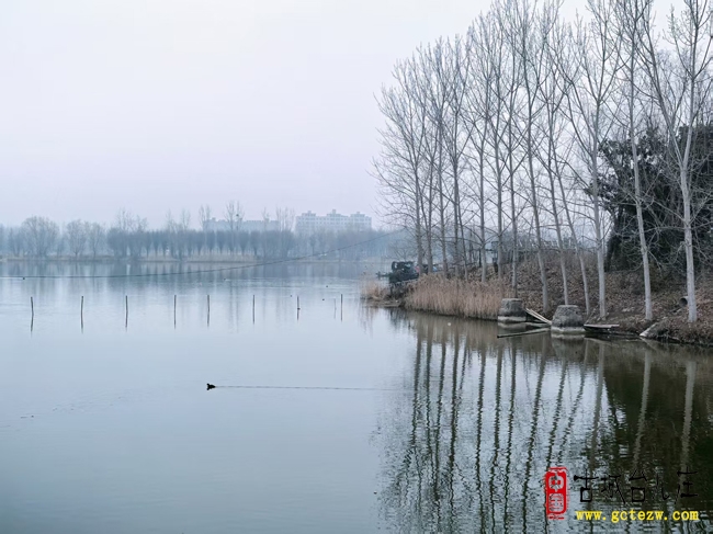 《运河吟》作者：张法远