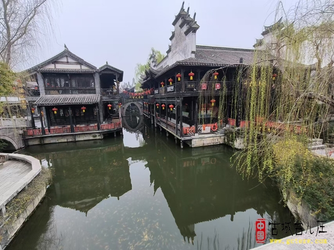 千鱼映水醉春归！台儿庄古城“金色鱼群”打卡点成游客欢喜福地（图）