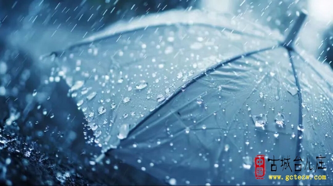 台儿庄雨情信息（8月11日）