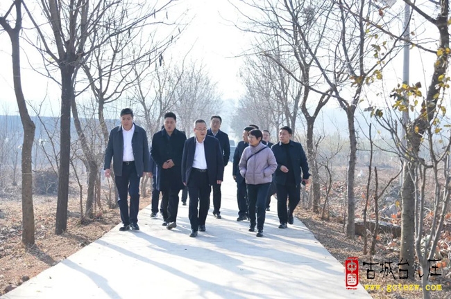 台儿庄：彭照辉带队调研乡村振兴工作（图）