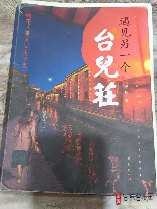 【同林摄影】品读台儿庄古城“百科全书”