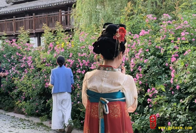 百花齐放迎五一，台儿庄古城开启春日花海之旅（图）