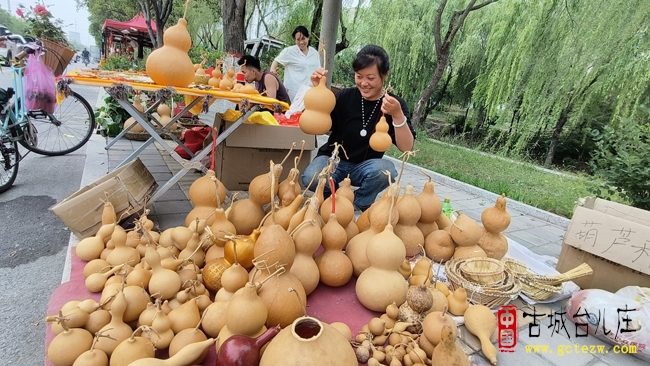 台儿庄古会花卉市场人气爆棚 激活地方消费新动能（图）
