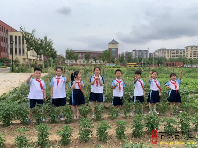 小手牵沃土 快乐正当时丨台儿庄经济开发区板桥小学劳动教育实践活动（图）