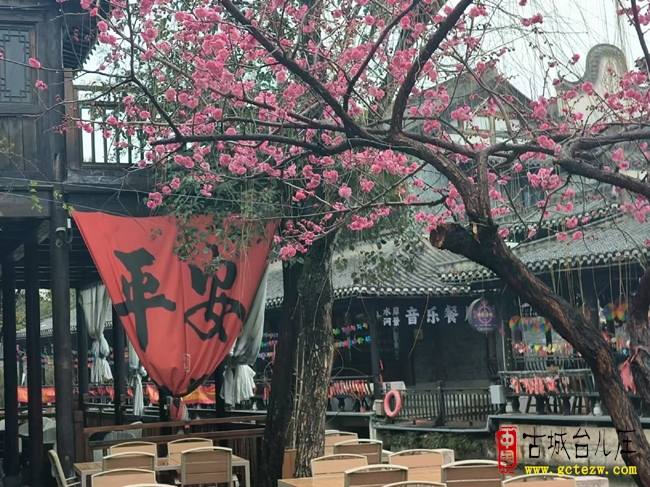 春雨润台城 花香引客来 台儿庄古城春日赏花打卡热（图）