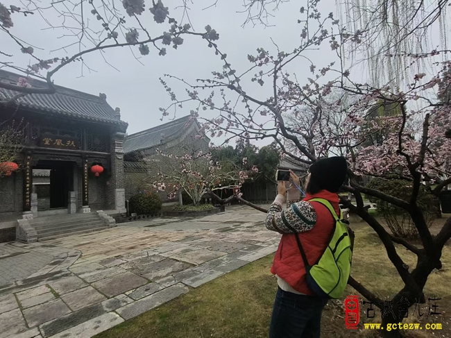 寻梦台儿庄：三月杏花映运河，英雄古城待客来（图）