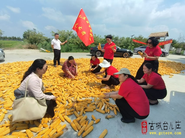 古韵融秋色 歌声颂生活丨台儿庄区古韵金声艺术团走进沧浪采风研学（图）