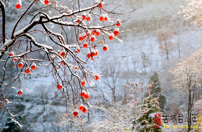 《乙巳年立冬感怀》作者：孔庆龙