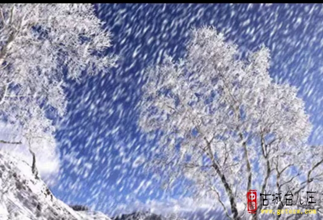 《头雪观景猜谜》作者：单立强