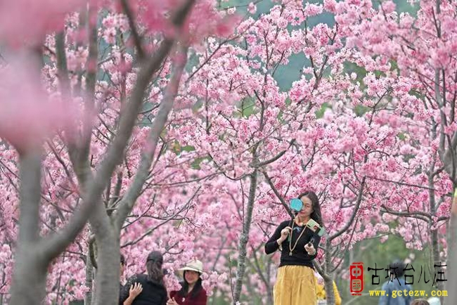 《春日八大乐事》作者：徐福堂