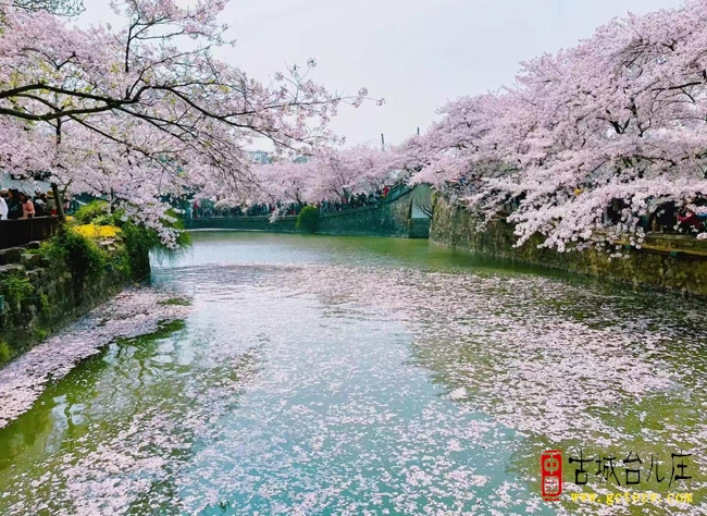 《太湖春夜》作者：单立强