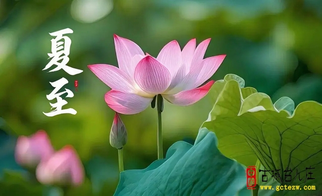 张法远：夏至吟