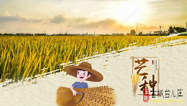 《丙午芒种随感》作者：孔庆龙
