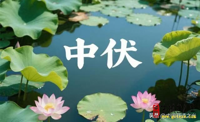 徐福堂：中伏食材十宝