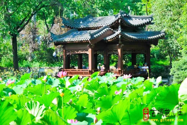徐福堂：小暑八景