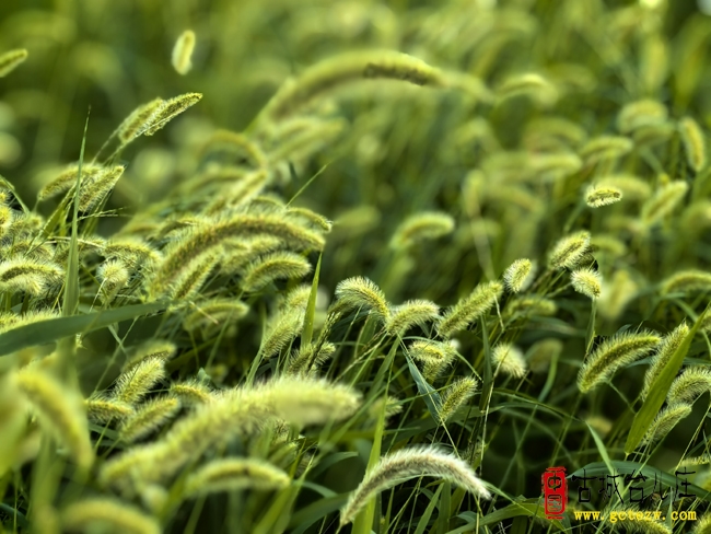 张法远：暑热悟