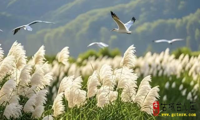 徐福堂：白露十雅
