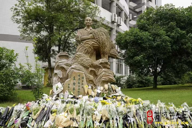 《稻运今生——当代神农袁隆平》作者：单立强
